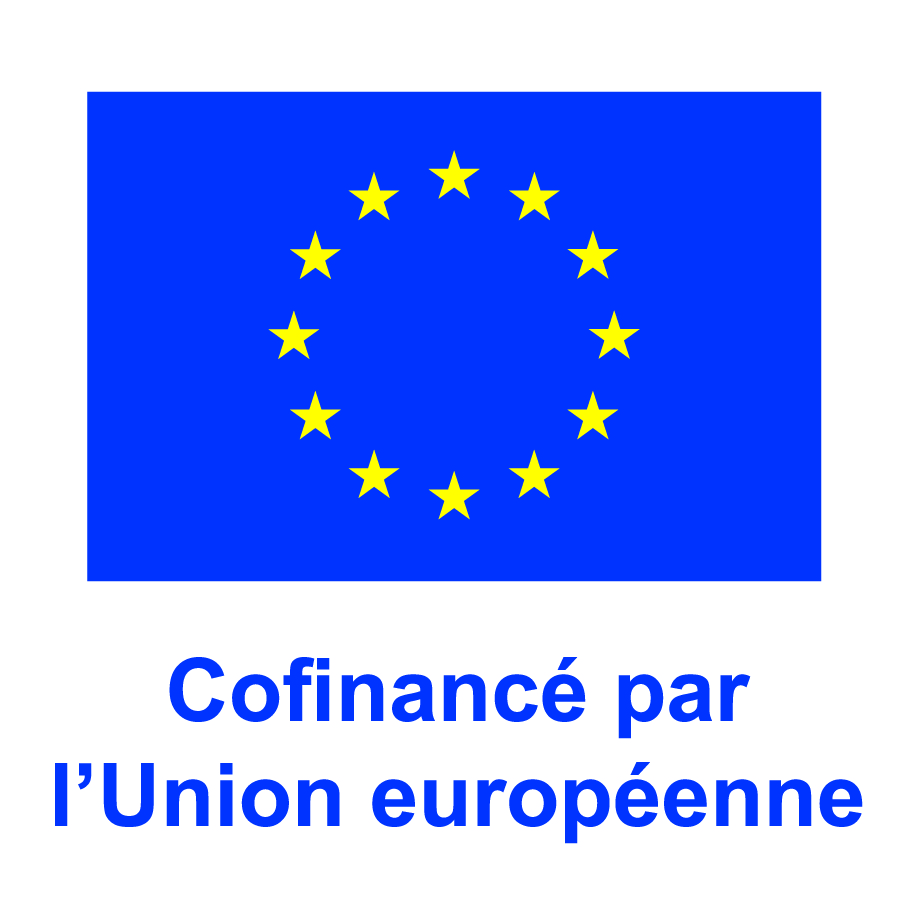 Logo partenaire 1